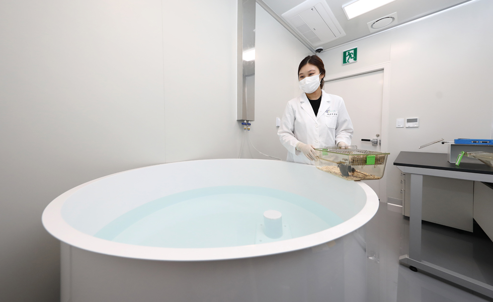 Water maze system 이미지